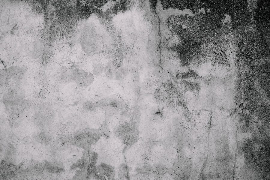 Mold